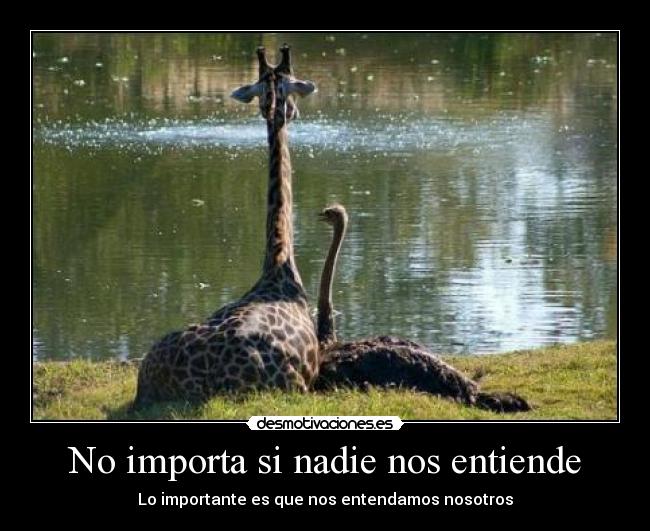 No importa si nadie nos entiende - 