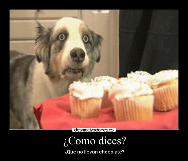 ¿Como dices? - ¿Que no llevan chocolate?