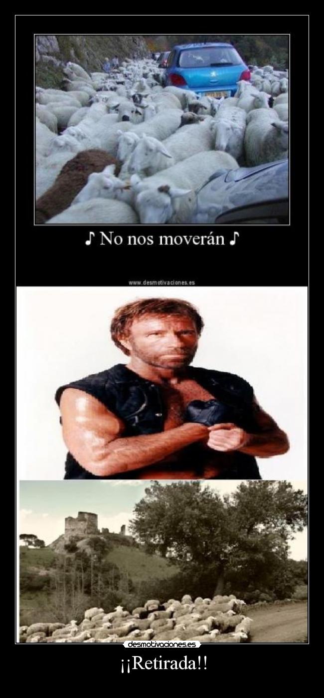 ¡¡Retirada!! - 
