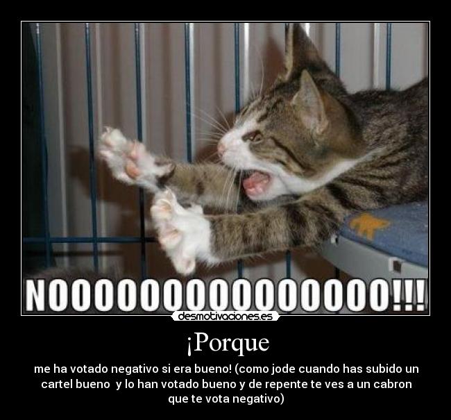 ¡Porque -
