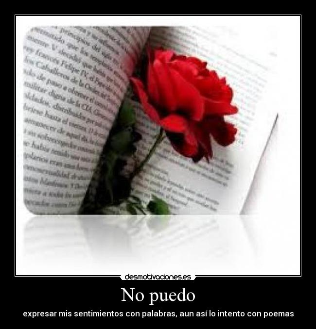 No puedo - expresar mis sentimientos con palabras, aun así lo intento con poemas