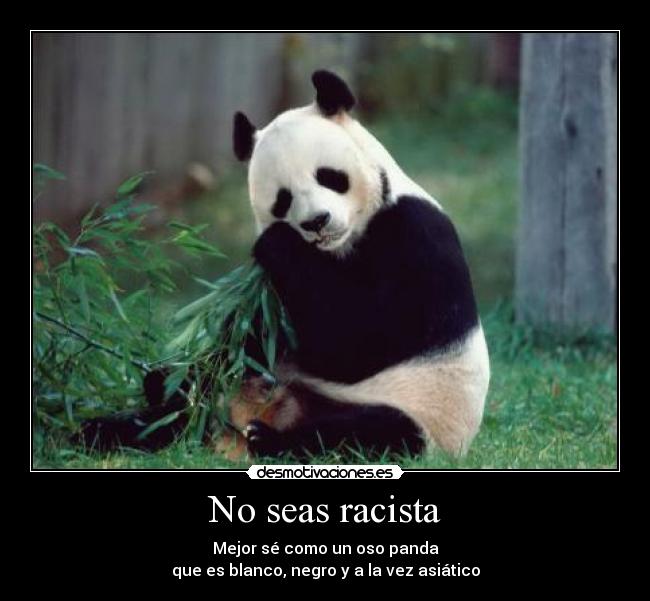 No seas racista - Mejor sé como un oso panda
que es blanco, negro y a la vez asiático