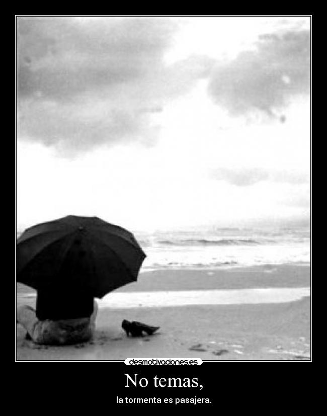 No temas, - la tormenta es pasajera.