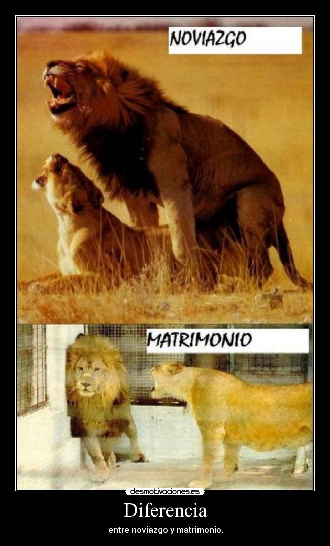 Diferencia - entre noviazgo y matrimonio.