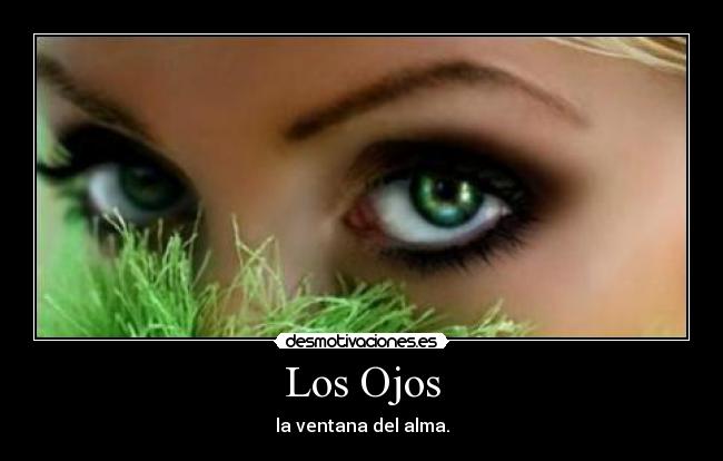 carteles ojos mujer desmotivaciones