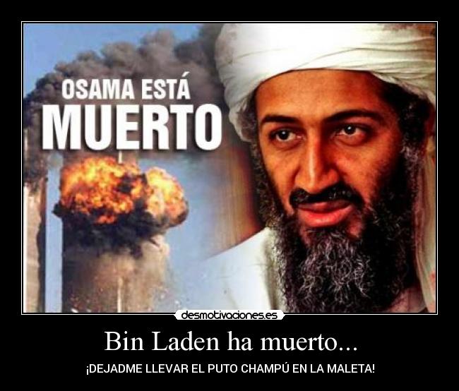 carteles bin laden muerto desmotivaciones