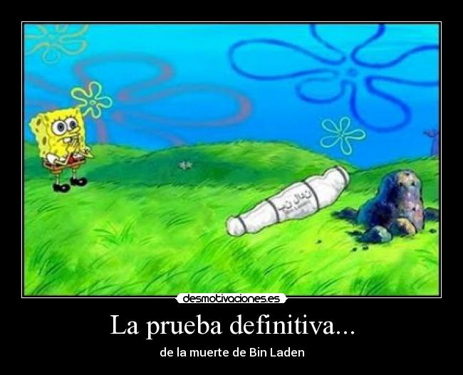 carteles bin laden muerte prueba cuerpo mar bob esponja arabe sabana desmotivaciones