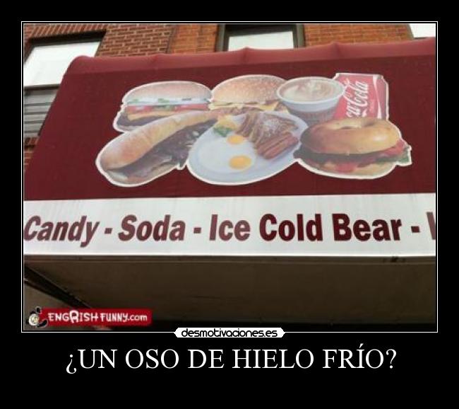 ¿UN OSO DE HIELO FRÍO? - 