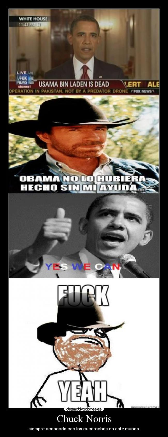 Chuck Norris - siempre acabando con las cucarachas en este mundo.