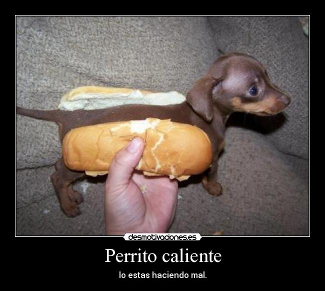 carteles perrito caliente mal desmotivaciones