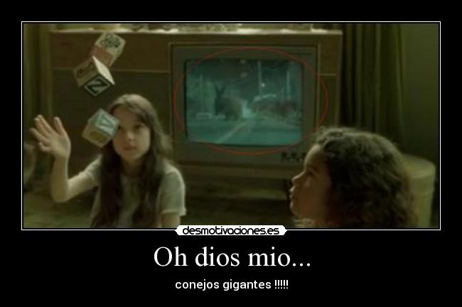 Oh dios mio... - conejos gigantes !!!!!
