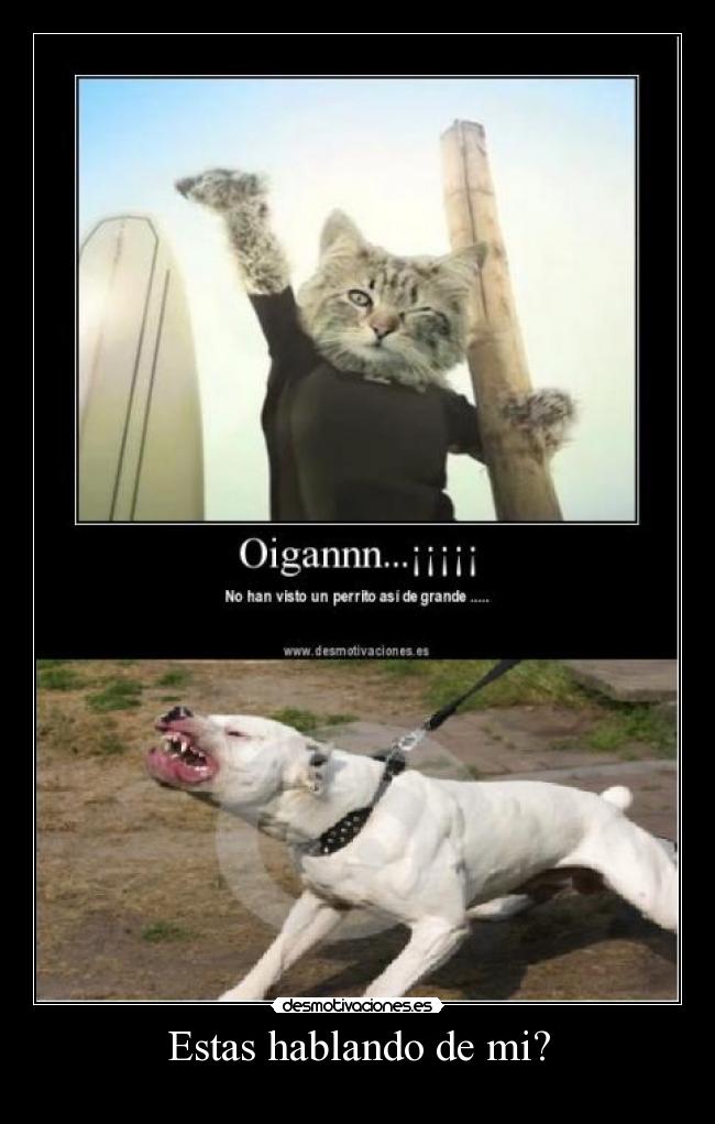 Estas hablando de mi? -