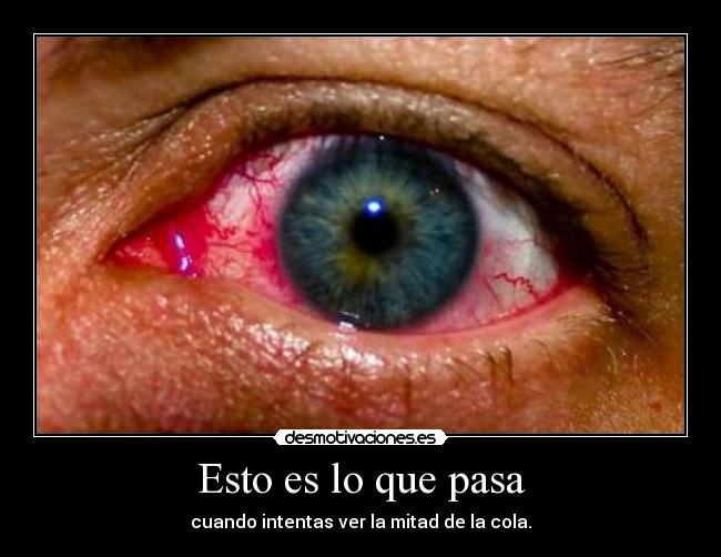 carteles cola desmotivaciones