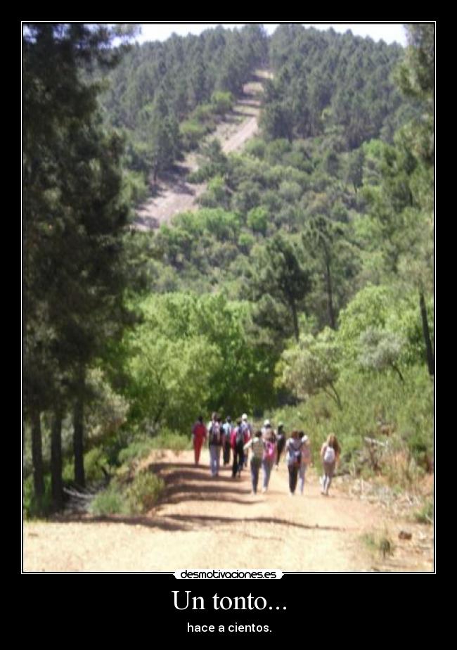 Un tonto... - 