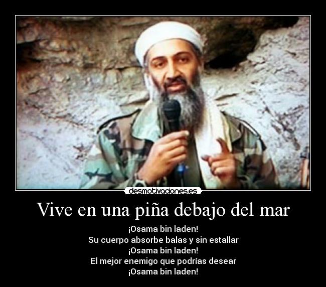 Vive en una piña debajo del mar -