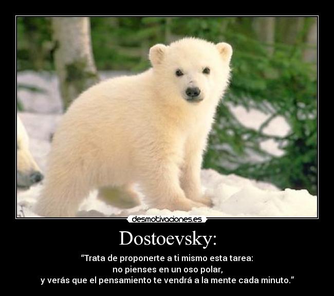 Dostoevsky: - “Trata de proponerte a ti mismo esta tarea:
no pienses en un oso polar,
y verás que el pensamiento te vendrá a la mente cada minuto.”