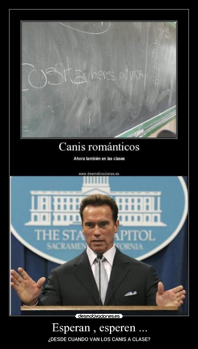 Esperan , esperen ... - ¿DESDE CUANDO VAN LOS CANIS A CLASE?