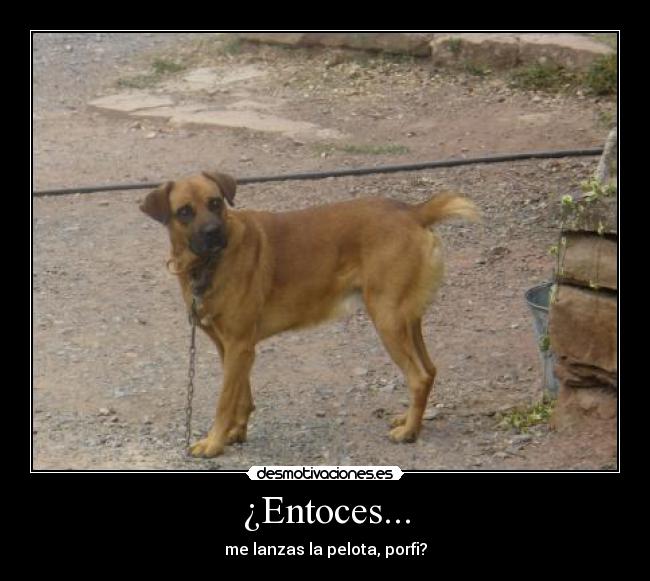 ¿Entoces... - me lanzas la pelota, porfi?