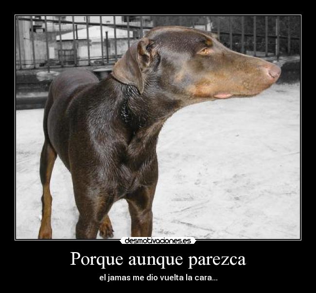 Porque aunque parezca -