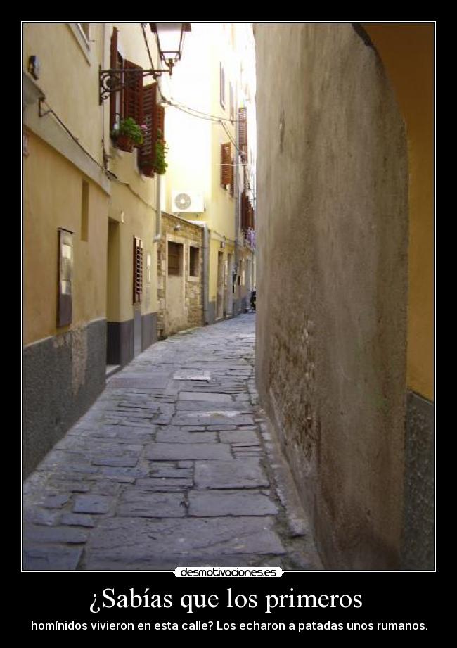 ¿Sabías que los primeros - homínidos vivieron en esta calle? Los echaron a patadas unos rumanos.