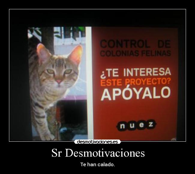 Sr Desmotivaciones -