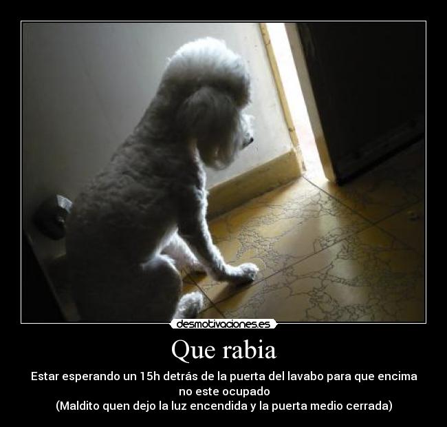 Que rabia - Estar esperando un 15h detrás de la puerta del lavabo para que encima
no este ocupado
(Maldito quen dejo la luz encendida y la puerta medio cerrada)