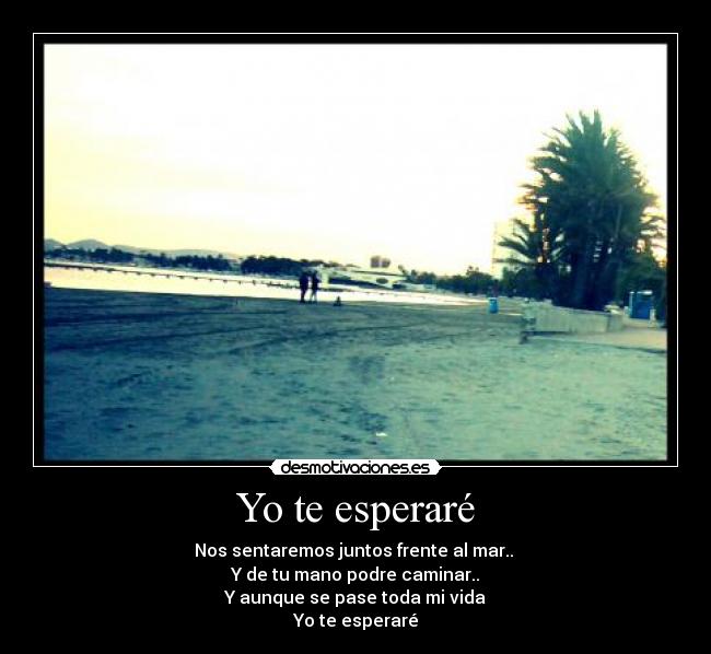 Yo te esperaré -