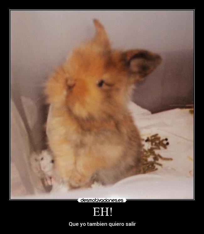 carteles jhonyxy125 desmotivaciones