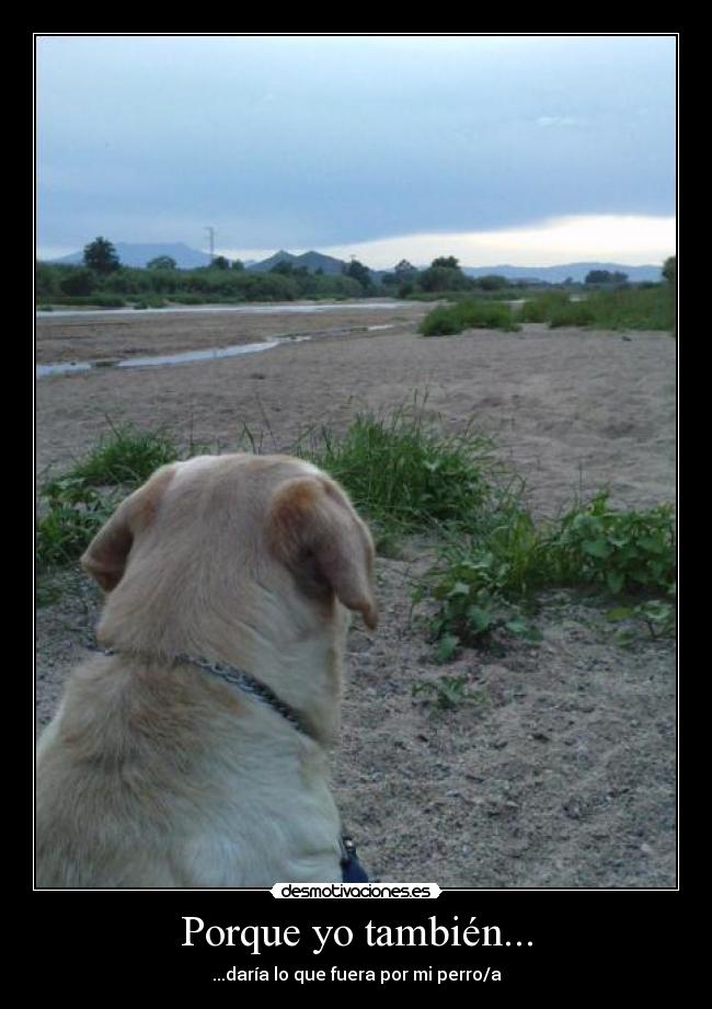 Porque yo también... - 