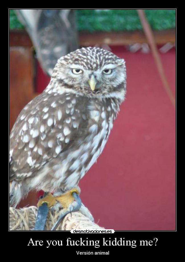 Are you fucking kidding me? - Versión animal