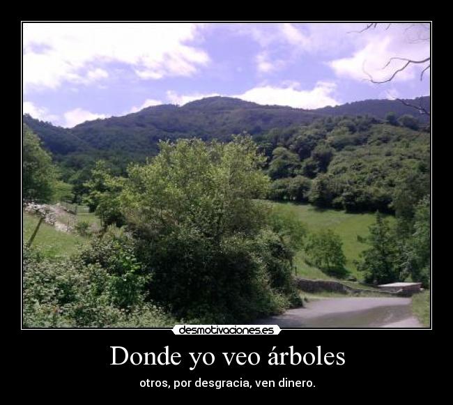 carteles arboles dinero madera desmotivaciones