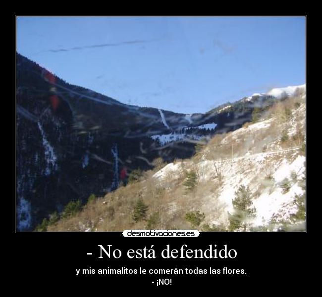 - No está defendido - y mis animalitos le comerán todas las flores.
- ¡NO!