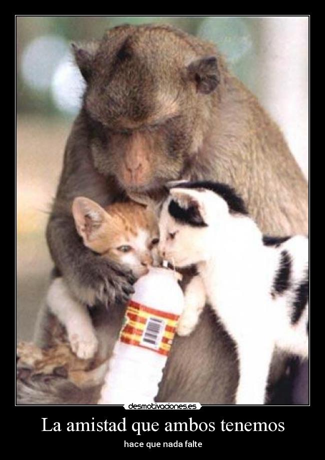 La amistad que ambos tenemos - 