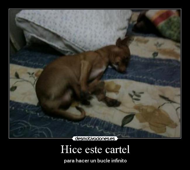 Hice este cartel - para hacer un bucle infinito