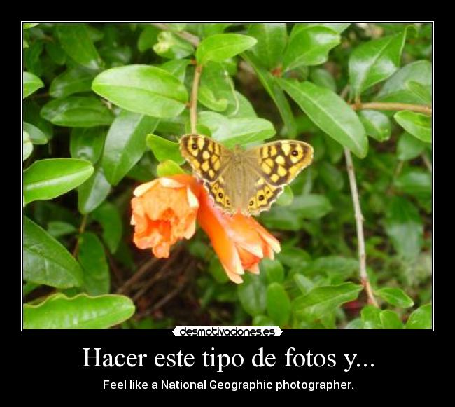 Hacer este tipo de fotos y... - Feel like a National Geographic photographer.