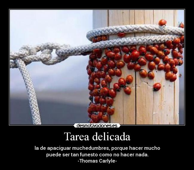 Tarea delicada - 
