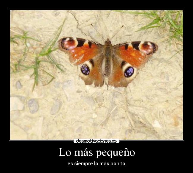 Lo más pequeño - es siempre lo más bonito.