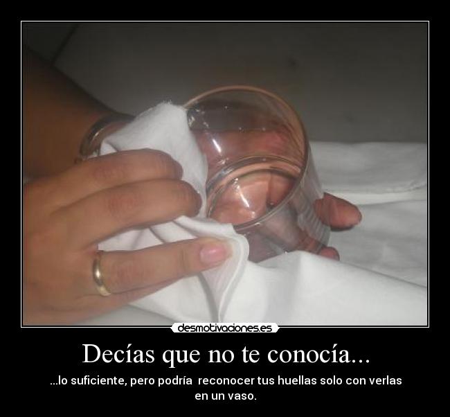 Decías que no te conocía... - ...lo suficiente, pero podría reconocer tus huellas solo con verlas en un vaso.
