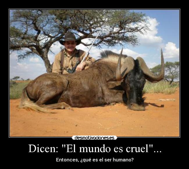 Dicen: El mundo es cruel... - 