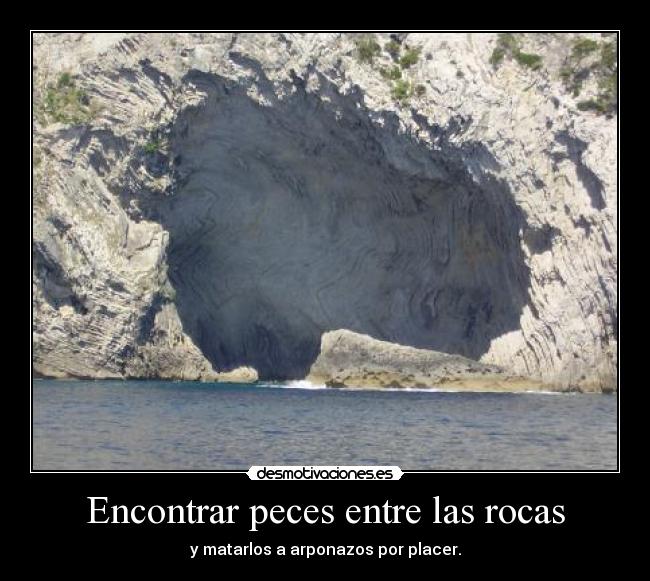 Encontrar peces entre las rocas - y matarlos a arponazos por placer.