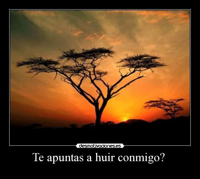 Te apuntas a huir conmigo? -