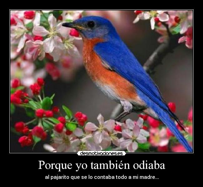 Porque yo también odiaba -