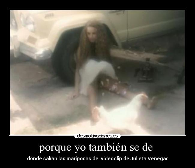 porque yo también se de  - 