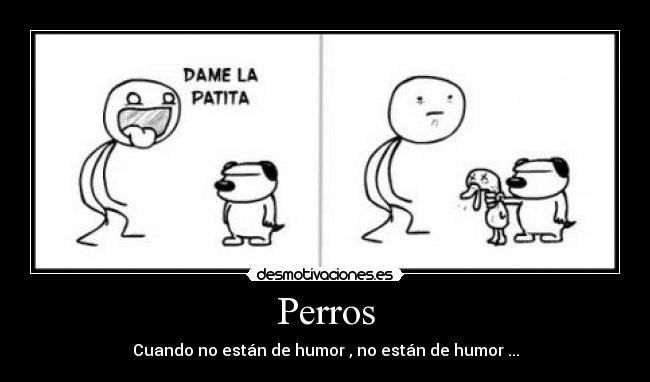 Perros - Cuando no están de humor , no están de humor ...