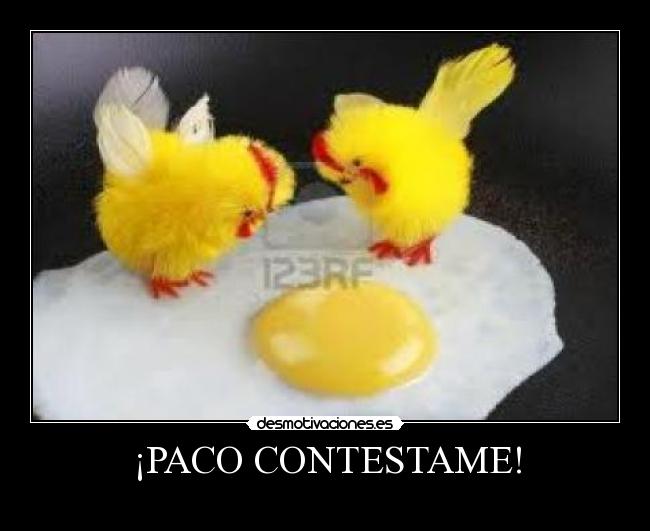 ¡PACO CONTESTAME! - 