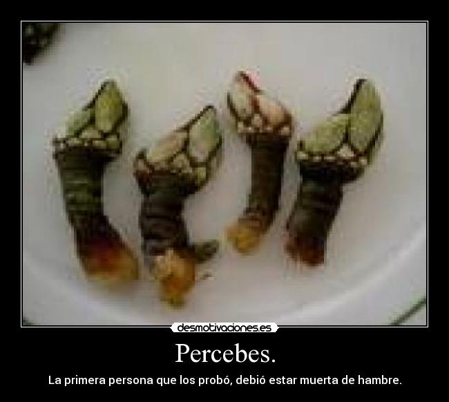 carteles percebes asquerosos desmotivaciones