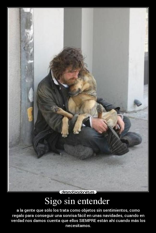 Sigo sin entender  - 