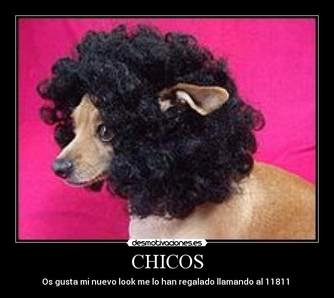 CHICOS - 