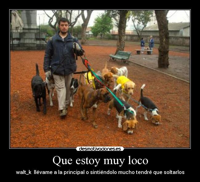 Que estoy muy loco - walt_k llévame a la principal o sintiéndolo mucho tendré que soltarlos