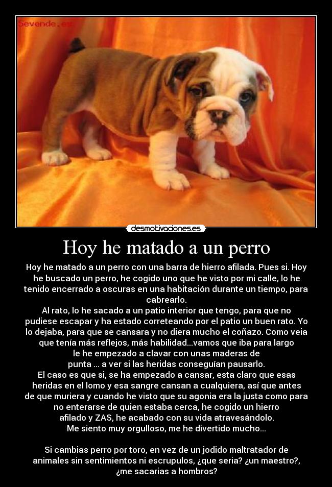 Hoy he matado a un perro - 